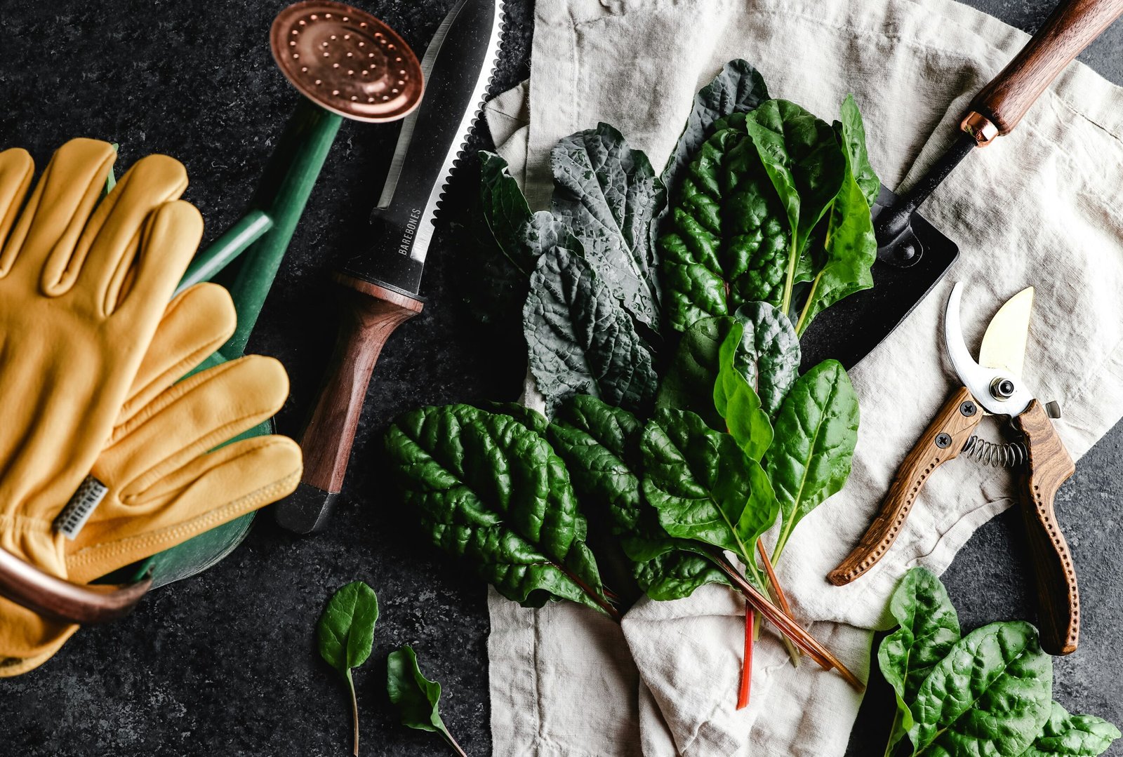 Essential Tools for Every Home Gardener